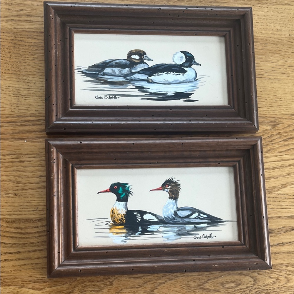 Chris Schaller Framed Duck Pair Wall Art - Brown Frame, Multicolor Prints